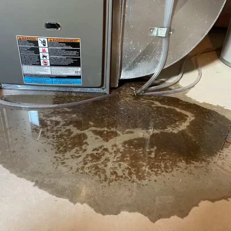 Appliance Leak Cleanup in Easley, SC